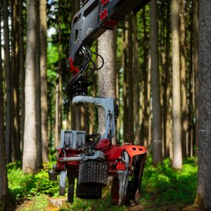 IMG_0742_ergebnis